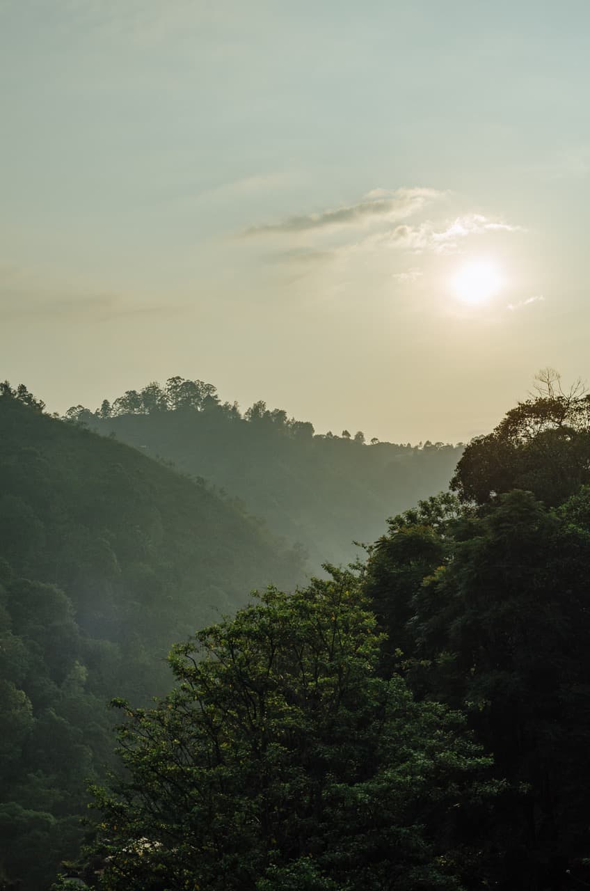 Превью Sri Lanka 2022